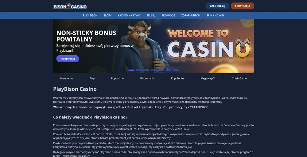 PlayBison Casino desktop screenshot