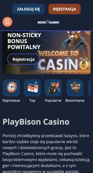 PlayBison Casino mobile screenshot